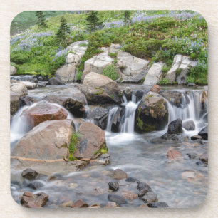 USA, Washington, Mt. Rainier National Park 3 Coaster