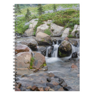 USA, Washington, Mt. Rainier National Park 3 Notebook