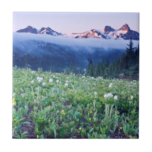 USA, Washington, Mt. Rainier National Park 4 Tile (Front)