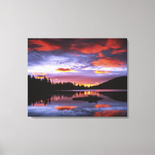 USA, Washington, Mt. Rainier National Park, Canvas Print