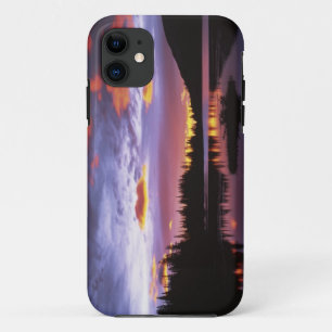 USA, Washington, Mt. Rainier National Park, iPhone 11 Case