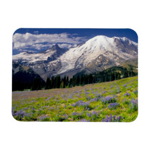 USA, Washington, Mt. Rainier National Park. Magnet