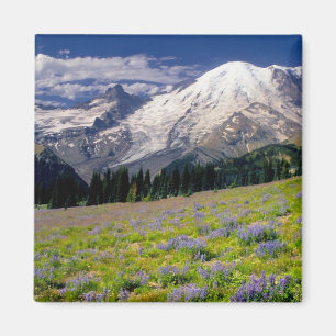 USA, Washington, Mt. Rainier National Park. Magnet