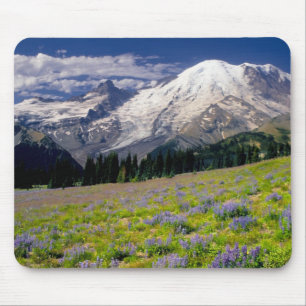 USA, Washington, Mt. Rainier National Park. Mouse Mat