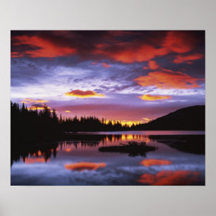 USA, Washington, Mt. Rainier National Park, Poster