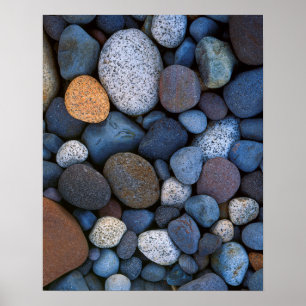 USA, Washington, Mt. Rainier National Park Poster