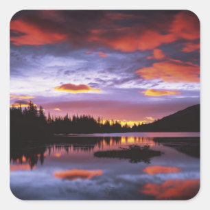 USA, Washington, Mt. Rainier National Park, Square Sticker