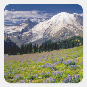 USA, Washington, Mt. Rainier National Park. Square Sticker