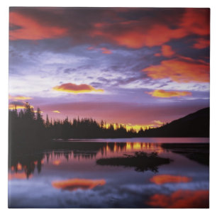 USA, Washington, Mt. Rainier National Park, Tile