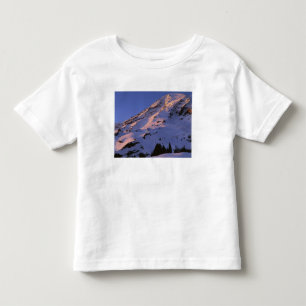 USA, Washington, Mt. Rainier National Park Toddler T-Shirt