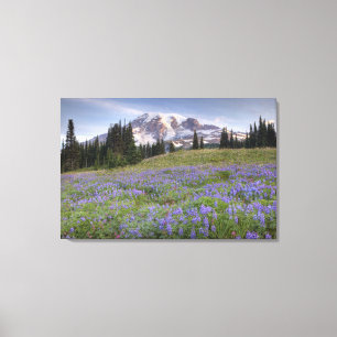USA, Washington, Mt. Rainier NP, Mt. Rainier and Canvas Print