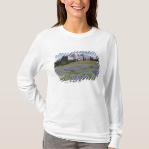 USA, Washington, Mt. Rainier NP, Mt. Rainier and T-Shirt