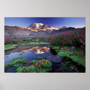 USA, Washington, Mt. Rainier NP, sunrise, Poster