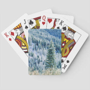 USA, Washington, Mt. Spokane State Park, Aspen 2 Playing Cards
