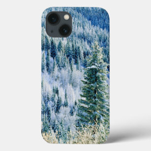 USA, Washington, Mt. Spokane State Park, Aspen iPhone 13 Case