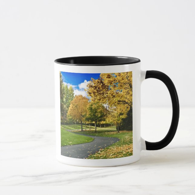 USA, Washington Mug (Right)