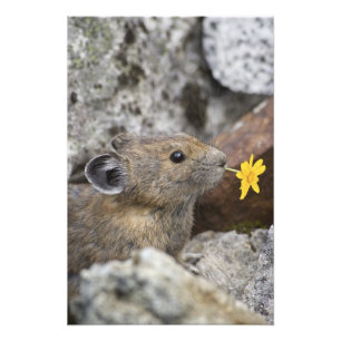 USA, Washington, North Cascades National Park, Photo Print
