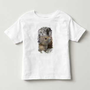 USA, Washington, North Cascades National Park, Toddler T-Shirt