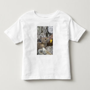 USA, Washington, North Cascades National Park, Toddler T-Shirt
