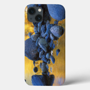 USA, Washington, Okanogan-Wenatchee National iPhone 13 Case
