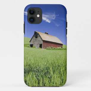 USA, Washington, Old Red Barn in the Spring iPhone 11 Case