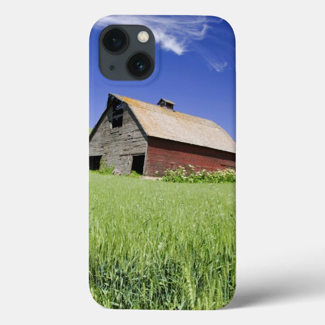 USA, Washington, Old Red Barn in the Spring Case-Mate iPhone Case (Back)