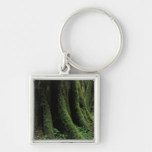 USA, Washington, Olympic National Park, 2 Key Ring