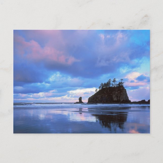 USA, Washington, Olympic National Park 2 Postcard (Front)