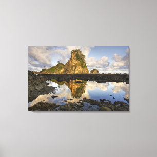 USA, Washington, Olympic National Park.  A Canvas Print