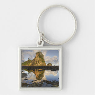 USA, Washington, Olympic National Park. A Key Ring