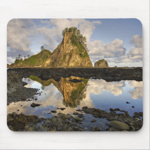 USA, Washington, Olympic National Park.  A Mouse Mat