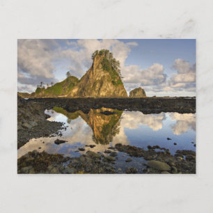 USA, Washington, Olympic National Park.  A Postcard