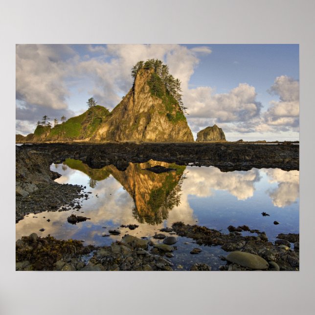 USA, Washington, Olympic National Park.  A Poster (Front)