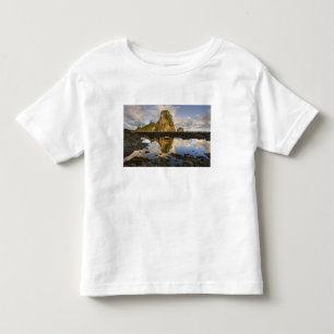 USA, Washington, Olympic National Park.  A Toddler T-Shirt