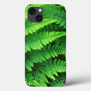 USA, Washington, Olympic National Park, Athyrium iPhone 13 Case