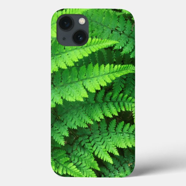 USA, Washington, Olympic National Park, Athyrium Case-Mate iPhone Case (Back)