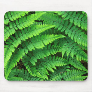 USA, Washington, Olympic National Park, Athyrium Mouse Mat