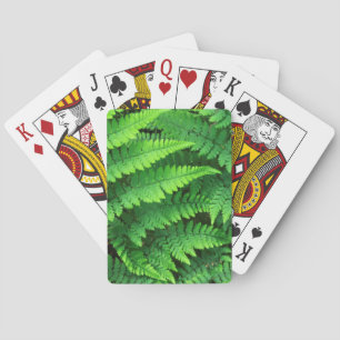 USA, Washington, Olympic National Park, Athyrium Playing Cards