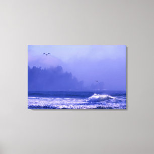 USA, Washington, Olympic National Park. Fog Canvas Print