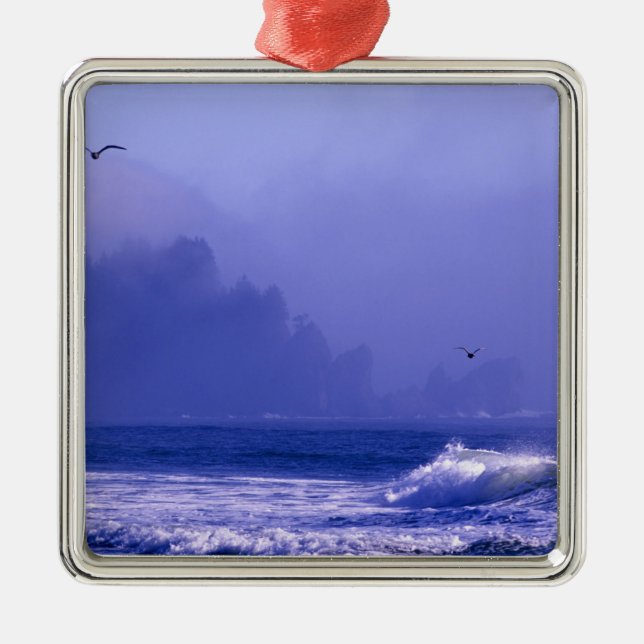 USA, Washington, Olympic National Park. Fog Metal Tree Decoration (Front)