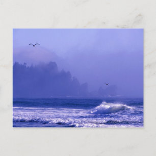 USA, Washington, Olympic National Park. Fog Postcard