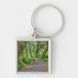 USA, Washington, Olympic National Park, Hoh 2 Key Ring