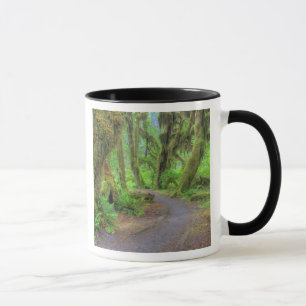 USA, Washington, Olympic National Park, Hoh 2 Mug