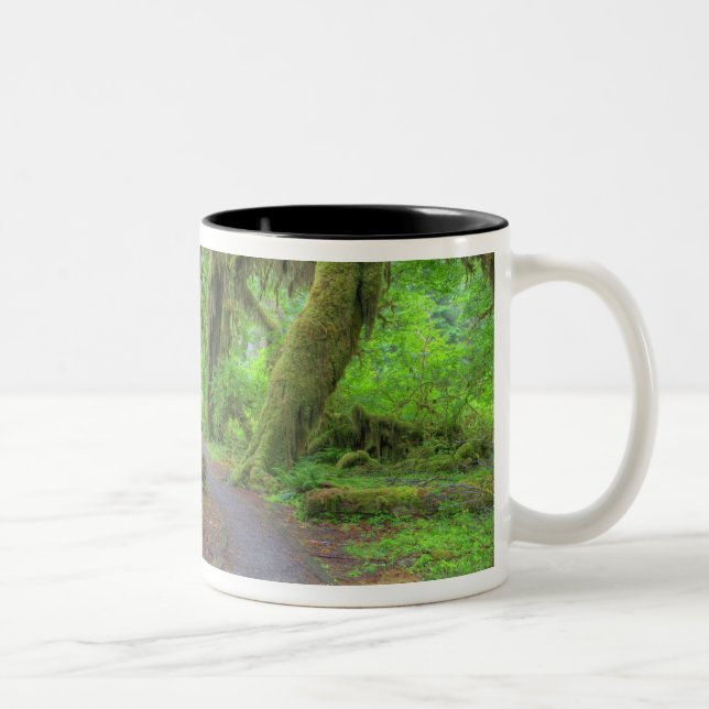 USA, Washington, Olympic National Park, Hoh 2 Two-Tone Coffee Mug (Right)