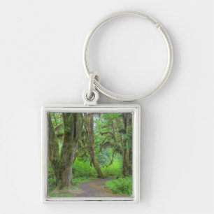 USA, Washington, Olympic National Park, Hoh Key Ring