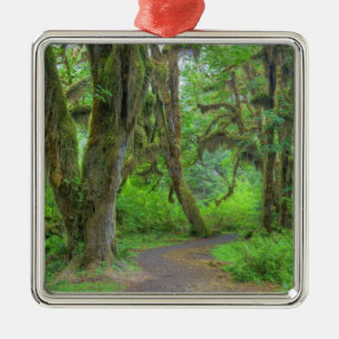 USA, Washington, Olympic National Park, Hoh Metal Tree Decoration