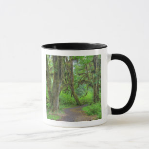 USA, Washington, Olympic National Park, Hoh Mug