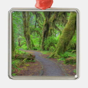 USA, Washington, Olympic National Park, Hoh Rain Metal Tree Decoration