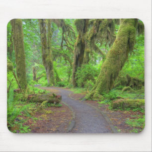 USA, Washington, Olympic National Park, Hoh Rain Mouse Mat