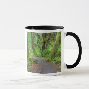 USA, Washington, Olympic National Park, Hoh Rain Mug